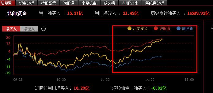 股票002213,股票002213，深度解析与前景展望