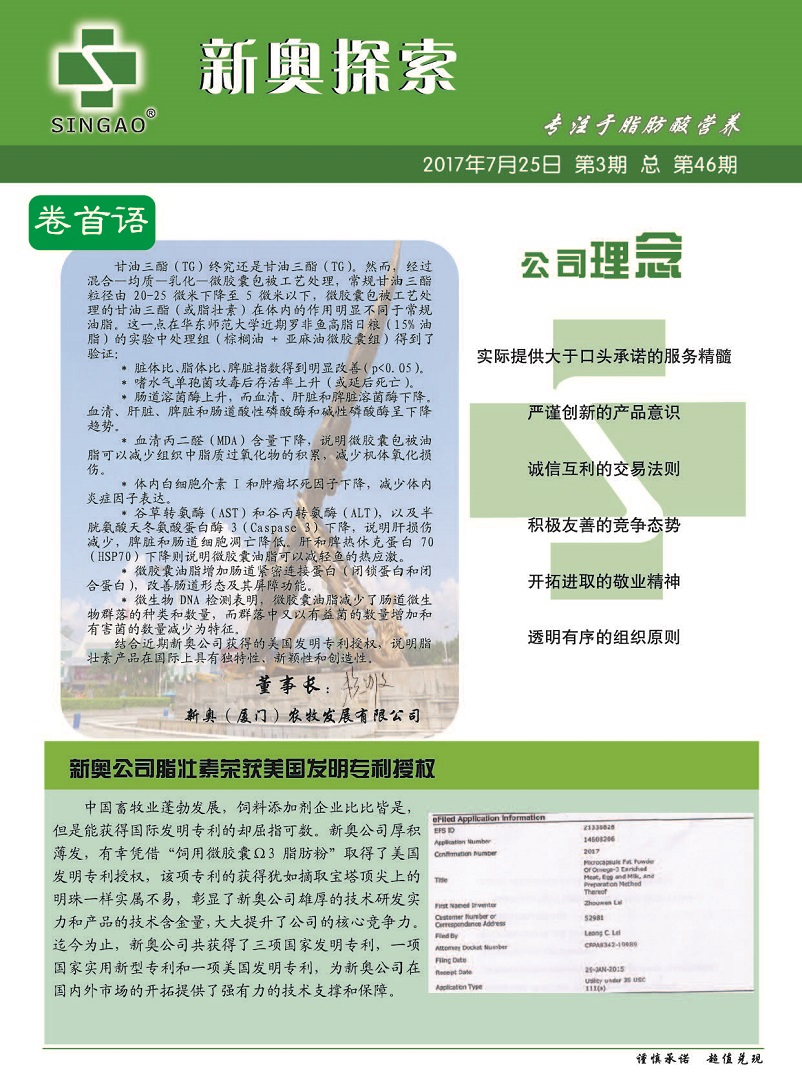 新奥正版全年免费资料|精选解释解析落实,新奥正版全年免费资料，精选解释、解析与落实