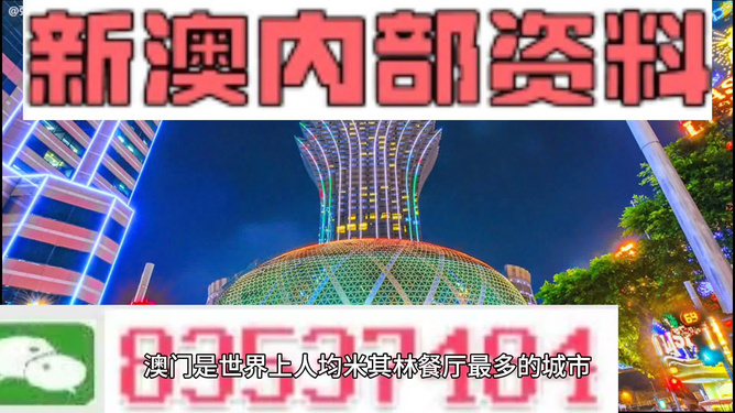 新澳门2024资料免费大全版|精选解释解析落实,新澳门2024资料大全版的风险解析与防范策略