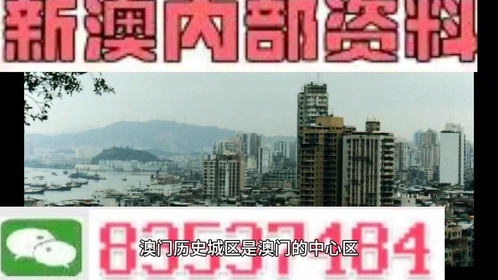 新澳精准资料免费群聊|精选解释解析落实,新澳精准资料免费群聊，精选解释解析落实的重要性