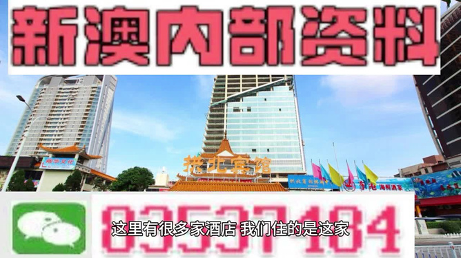 2025新澳门免费长期资料,探索未来，澳门免费长期资料的深度解析（2025展望）