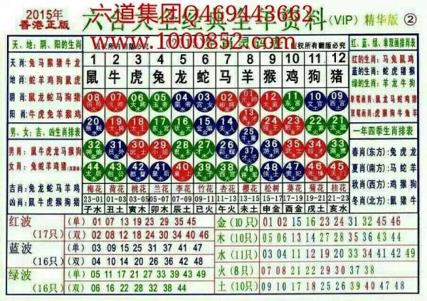 2025十二生肖49码表,揭秘，2025年十二生肖与49码表的不解之缘