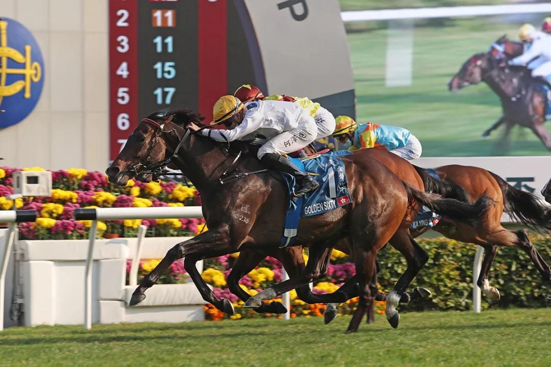 2025香港今期开奖号码马会,探索香港马会彩票，预测与未来展望（以2025年为例）